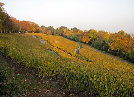 Lohrberg blick 2011 ffm 118