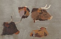 Longhorn Studies, 1897, pastel