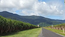 Looking east along Bennett Road, 2018 Looking east along Bennett Road, Aloomba, 2018 01.jpg