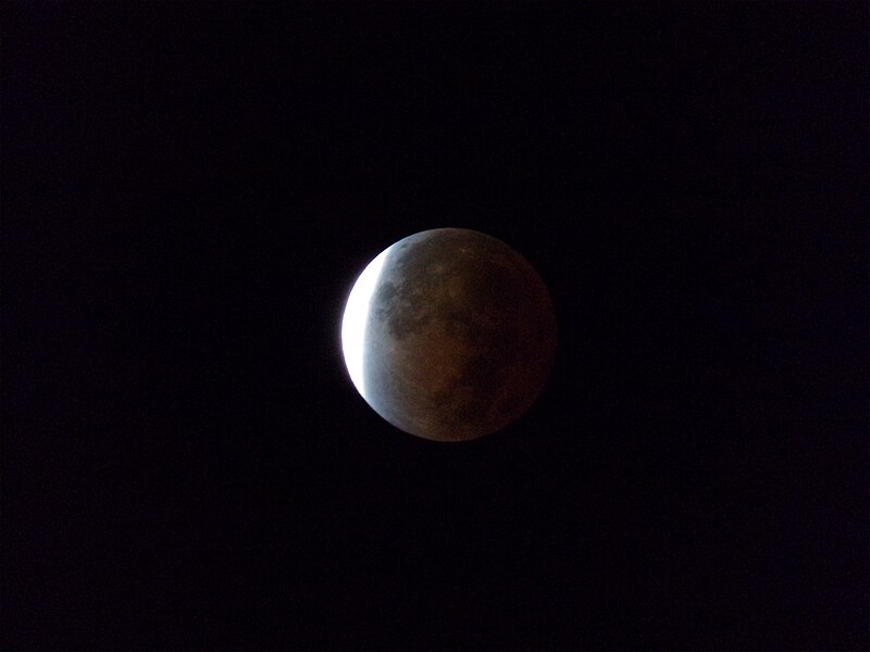 File:Lunar Eclipse November 2021.jpg