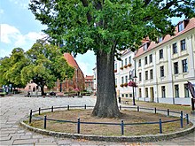 Rynek z kościołem