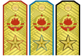 Еполете за раме војног звања Маршал Југославије сва три рода војске