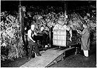 Men weighing wool after it has been graded, Canadian Co-operative Wool Growers, 1925.