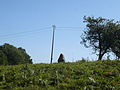 Menhir of the Petite Thébauderie 1.JPG