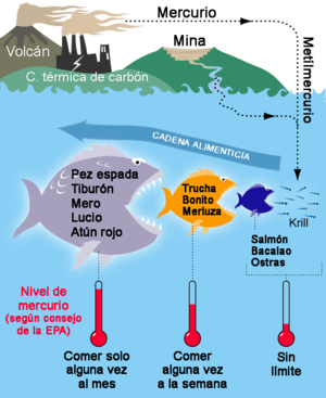 calculadora dias fertiles para niña