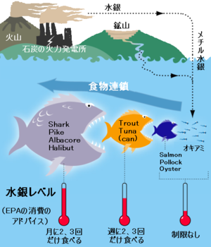 水銀中毒 Wikipedia