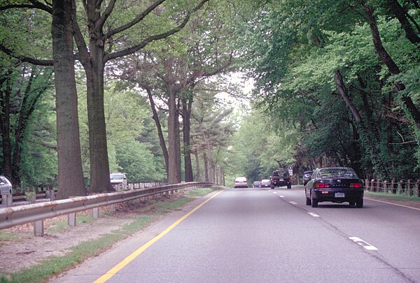 Tree canopy over the Merritt Parkway, and grassy median