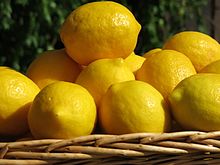 Meyers Zitrone (Citrus × meyeri)
