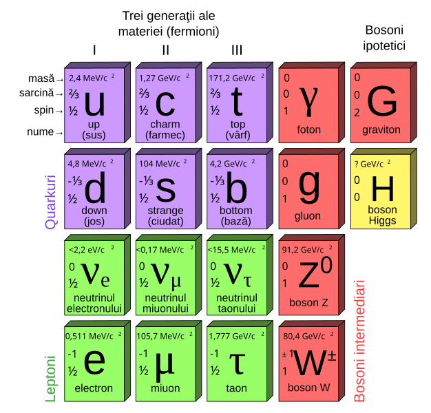 File:Modelul standard al particulelor fundamentale.svg