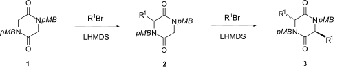 Enolate akylation pada C-3 dan C-6