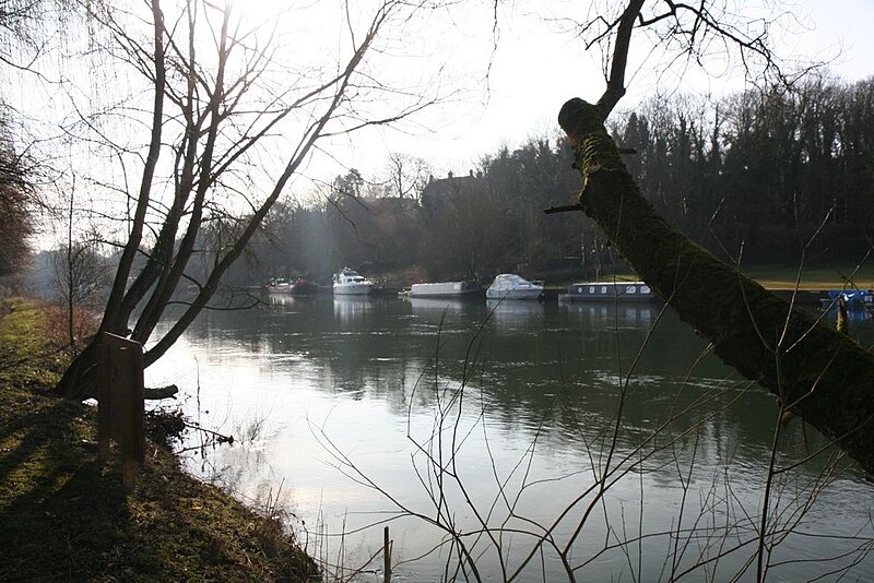 File:Moored across the river - geograph.org.uk - 1769428.jpg