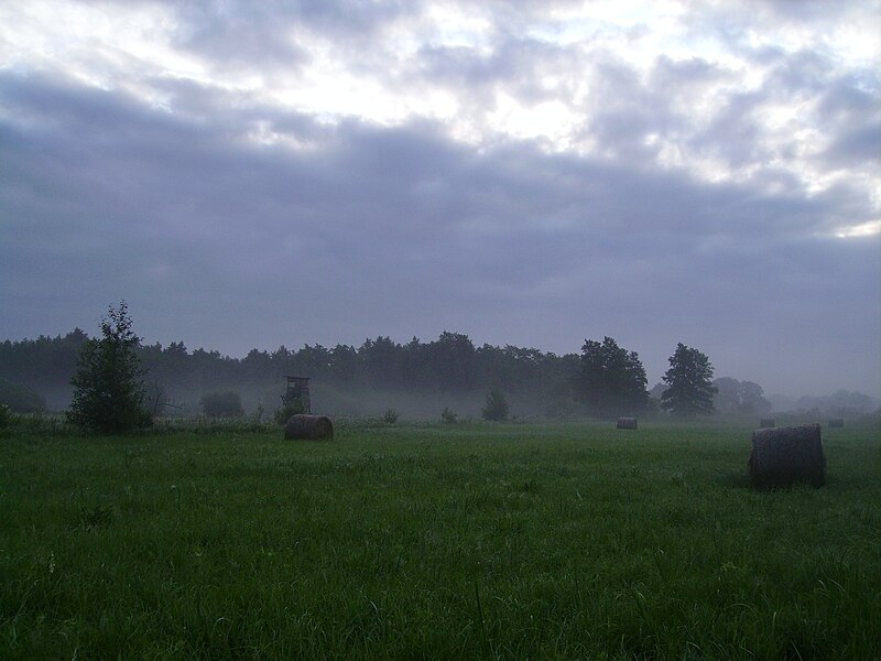 File:Morgennebel.JPG