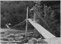 Mr. Arthur Newton Pack, of Nature Magazine, taking motion picture of Mr. Brian on suspension bridge in front of Zion... - NARA - 520556.tif