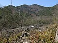 西光寺山のサムネイル