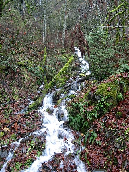 File:Multnomah Falls creek.JPG