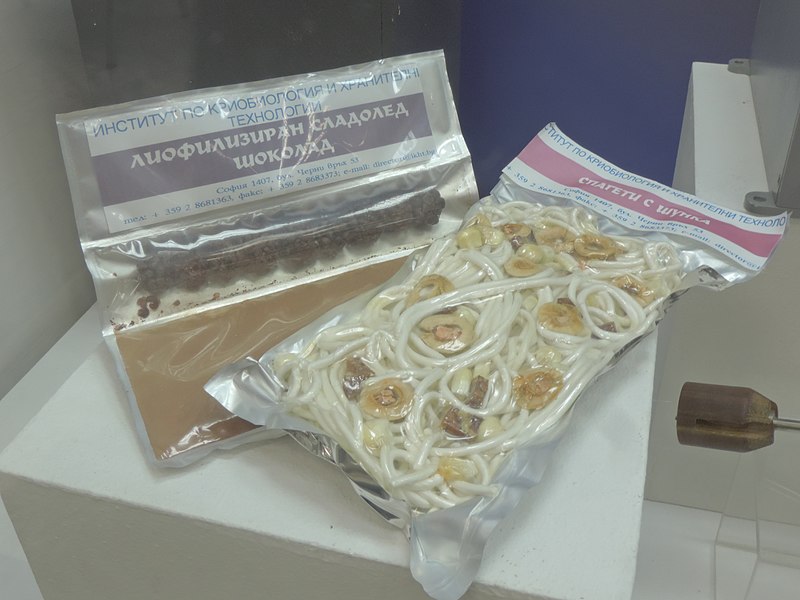 File:NPTM Photothon - lyophilized food - icecream and chocolate, spaghetti with bacon.jpg