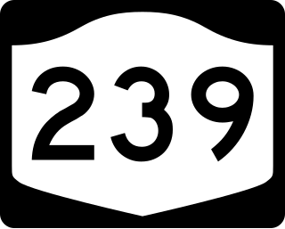 <span class="mw-page-title-main">New York State Route 239</span> Former highway in New York