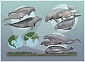 Neogene dugong ecosystems.jpg