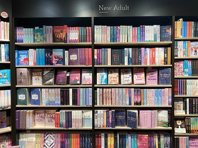 Department with New adult books in a German bookstore (2023)