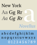 Thumbnail for New York (2019 typeface)