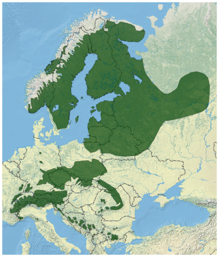 Noruega Spruce Picea abies mapa de distribuição 2.png
