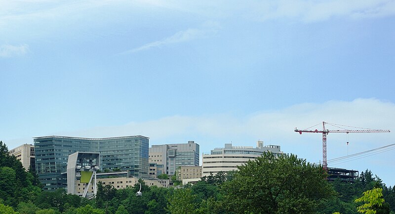 File:OHSU from South Waterfront.JPG