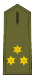 Capitão