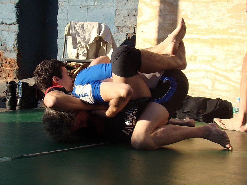 File:On the mat (2936305875).jpg