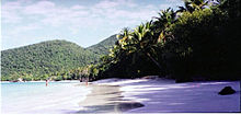 Plage tropicale avec sable, surf et arbres. Quelques personnes se baignent.