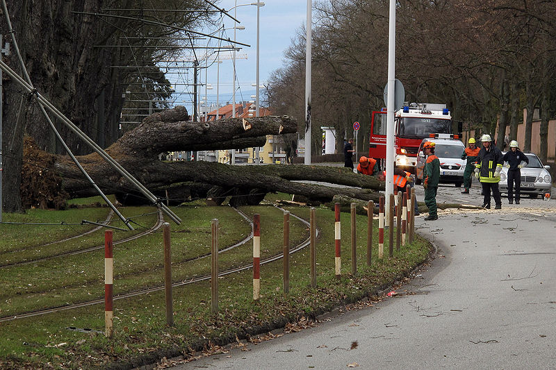 File:Orkan Xynthia Darmstadt 28.2.2010.jpg