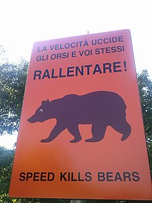Cartello stradale che segnala la presenza di orsi bruni marsicani