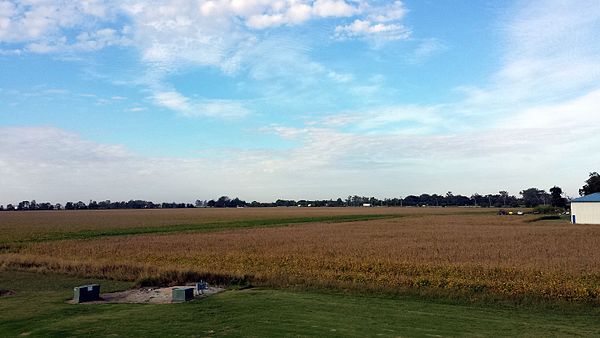 Flat fields in cultivation, such as this one in western Osceola, are typical across the Arkansas Delta.