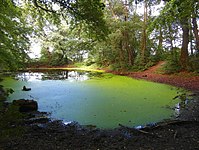 The Lenthe Easter pond