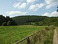 Čeština: Příroda v Chráněné krajinné oblasti Křivoklátsko v okolí Hudlic, Nižbora a Žloukovic nápověda English: CHKO Křivoklátsko protected landscape area near villages of Hudlice, Nižbor and Žloukovice in Central Bohemian region, CZ help