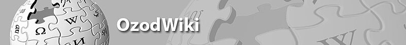 File:OzodWiki banner.jpg