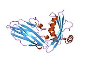 PDB 1qts EBI.jpg