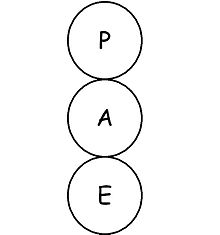 Adulte : définition et explications