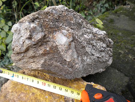 Paragneiss from the Arverne domain. This sample demonstrates the structural complexity found in the Massif Central. The left hand side shows a porphyroblast in C/S attitude with sense of movement top to the Southwest (D1-Phase). The right hand side also shows a porphyroblast in C/S attitude but with sense of movement top to the Northwest (D2-phase). The layers above it glide off to the right producing southeast-vergent small-scale folding (D4-phase) ParagneisNontron.jpg