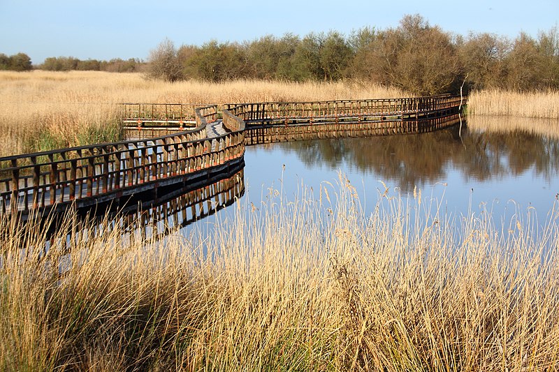 File:Parque nacional de las Tablas de Daimiel 39.jpg