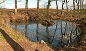 Der Teich außerhalb der Vegetationszeit