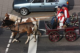 Whitsun turnering 2013 Carriage parade No22.JPG