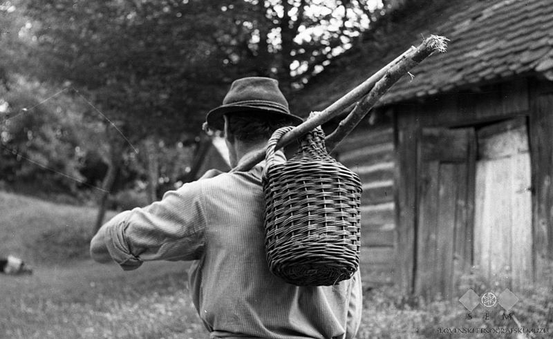 File:Pijačo nosi iz gorice. Zadaj del lesene kleti na Aplenku 1961.jpg