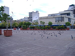 El centro de la Plaza Montenegro