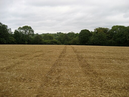 Ploughed Field by Figgs Wood - geograph.org.uk - 2085012