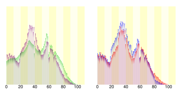 朝霞市: 地理, 人口, 地名の由来