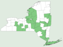 Populus alba NY-dist-map.png