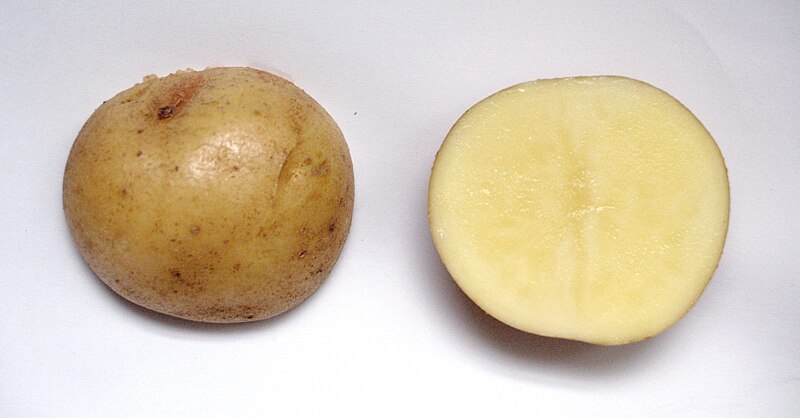 File:Potato cv Nishiyutaka.jpg