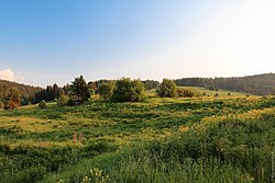 Natural landscape in Prigorodny District