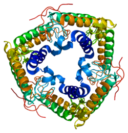 پروتئین PLA2G2A PDB 1ayp.png