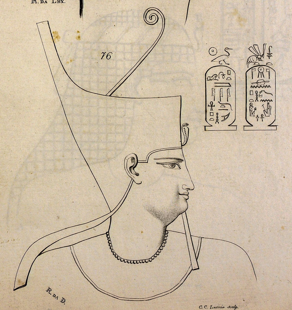 File:Ptolemy VIII Euergetes II.jpg - Wikimedia Commons